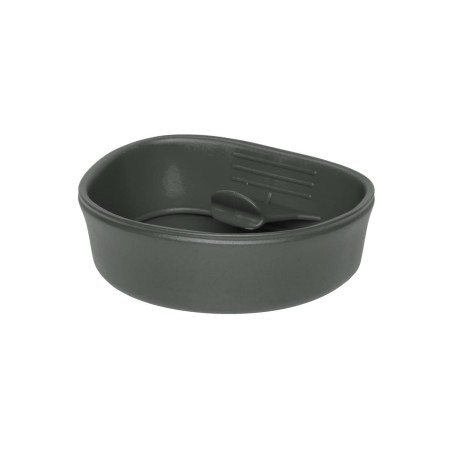 olive 4.jpg