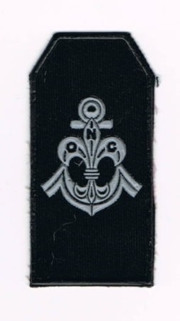 11739800.jpg
