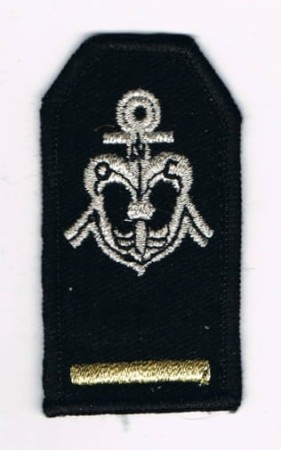 11747666.jpg
