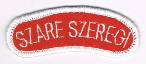 Przejdź do produktu plakietka Szare Szeregi