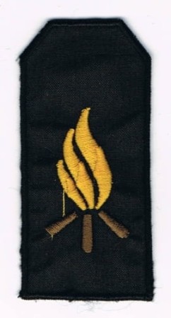 11748283.jpg