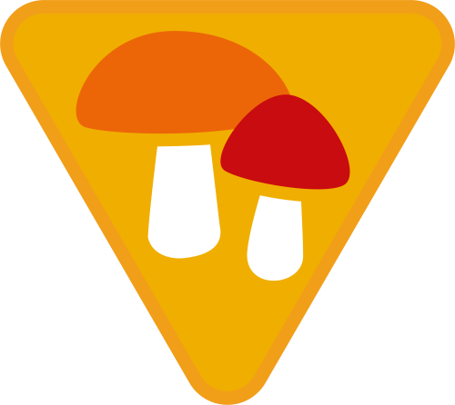 Przejdź do produktu plakietka sprawność zuchowa ZBIERACZ GRZYBÓW /  ZBIERACZKA GRZYBÓW