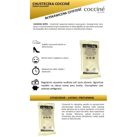 chusteczki-czyszczace-clean-wipe (3).jpg