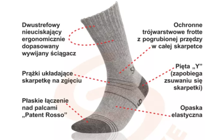 Bez tytułu.png