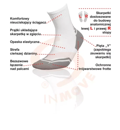 xschemat-scheme-Runner-Silver_PL.jpg.pagespeed.ic.HM9WjA1Cxd.webp
