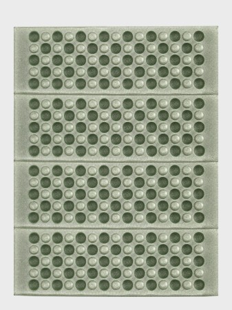 3876.jpg