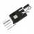 Victorinox-0-7250-36-Smart-Card-etui-Cardprotector-opaska-Moneyband-EAN-GTIN-7611160227942.jpg