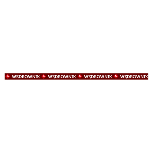 Przejdź do produktu smycz Wędrownik