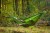 BYSTRY-2025-Treetop-Green-1920x1280-04.jpg