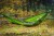 BYSTRY-2025-Treetop-Green-1920x1280-05.jpg