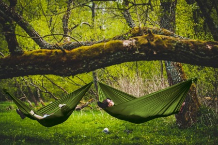 BYSTRY-2025-Treetop-Green-1920x1280-07.jpg