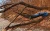pol_pl_Hamak-SVINGE-HAMMOCK-37636_4.webp