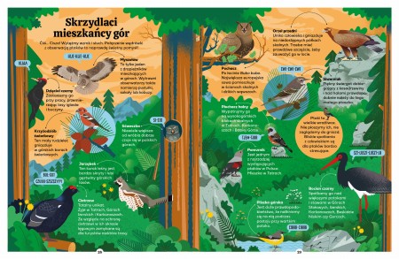 książka "Poradnik młodych górzystów"