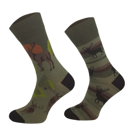 SM1_86_1715157412.png