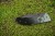 Victorinox-0-9411-DS232-noz-Evoke-BS-Alox-klips-One-Hand-Liczba-ostrzy-1.jpeg