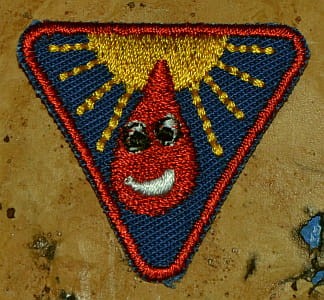 40762402.jpg