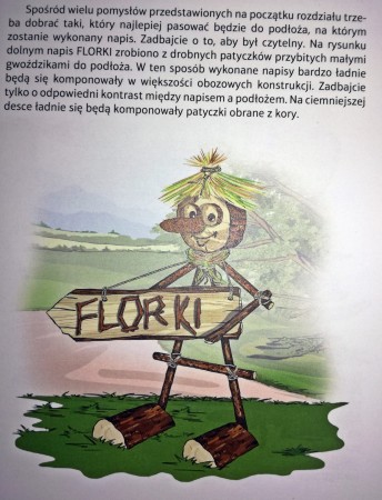 p3.jpg