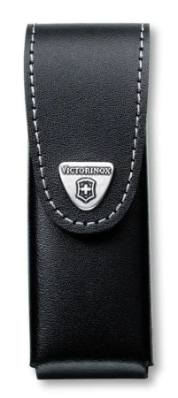 8281725.jpg