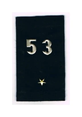 8417564.jpg