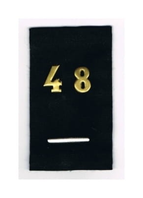 8417620.jpg