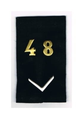 8417622.jpg