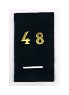 8417710.jpg