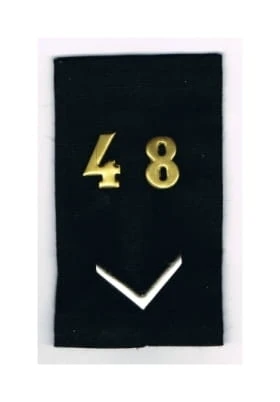 8417713.jpg