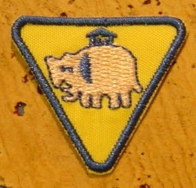 8982932.jpg