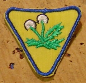 Przejdź do produktu plakietka sprawność zuchowa zielarz