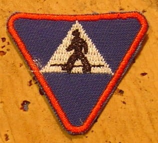 8986501.jpg