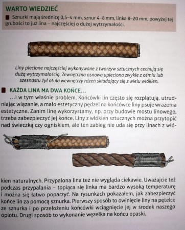p2.jpg