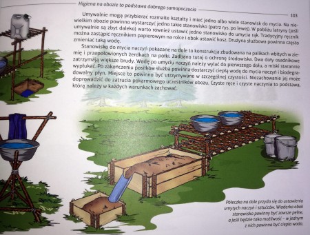 p5.jpg