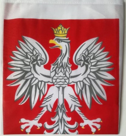 fla godło.jpg