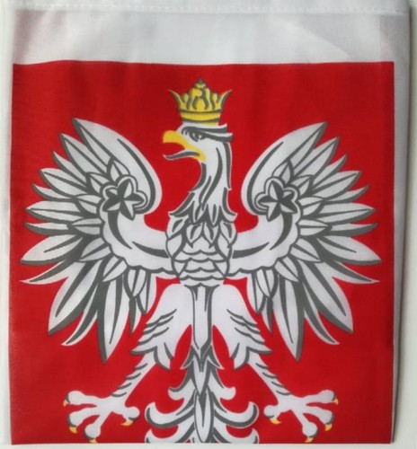 Przejdź do produktu flaga Polski z Godłem