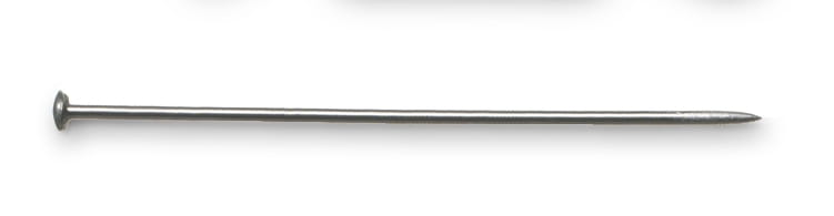 8180056.jpg