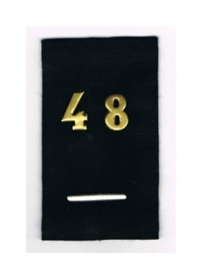 8417542.jpg