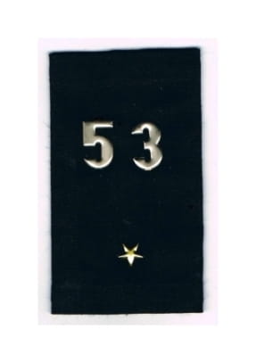 8417605.jpg